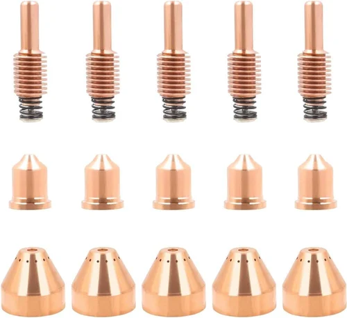 torch and electrode set